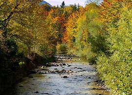 Apartment in Bavaria With Pool