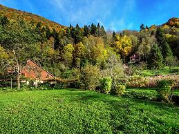 Serene Holiday Home in Dolus With Private Garden