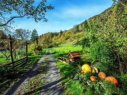 Serene Holiday Home in Dolus With Private Garden