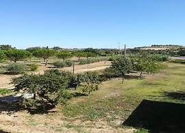 Holiday Home in Tuscany With Pool & BBQ