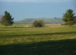 Lodge in Appledore Near Camber Sands Beach