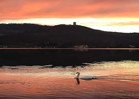 Belvilla by OYO Charming Apartment With Garden