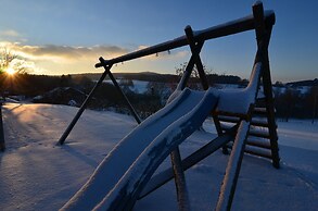 Lively Apartment With Sauna in Schonsee