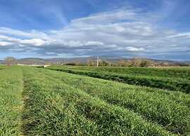 Agriturismo Tuscany With Panoramic Pool