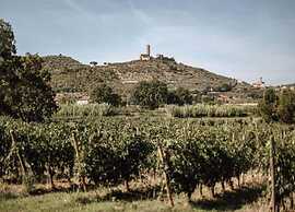 Agriturismo Tuscany With Panoramic Pool
