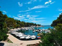 Spacious Apartment in Mandre With Terrace