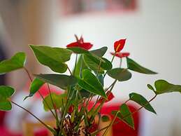 Charming Apartment in Altea With Swimming Pool