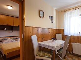 Cozy Apartment in Malinska near Sea