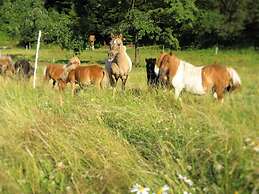 Holiday Flat With Private Terrace in Huddingen