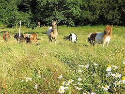 Holiday Flat With Private Terrace in Huddingen