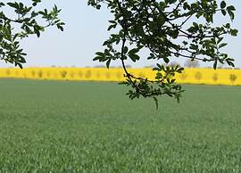 Geraeumige Ferienwohnung mit Garten in Brusow