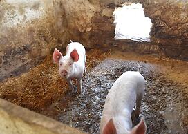 Apartment in Huddingen With Terrace