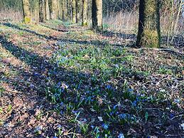 Holiday Home in Vielsalm With Garden