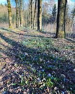 Holiday Home in Vielsalm With Garden