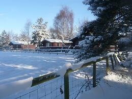Spacious Cottage With Sauna