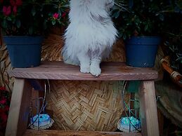 Lavish Holiday Home in Playa Blanca With Pool & Seabeach Nearby