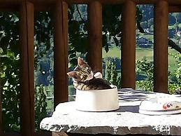 Lavish Holiday Home in Playa Blanca With Pool & Seabeach Nearby