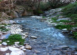 Beach View Villa in Bali near City Center with Private Pool