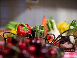 Villa in Tuscany With Swimming Pool