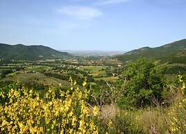Villa in Tuscany With Swimming Pool