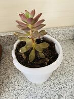 Rincòn Único Centrico