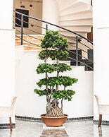 Dalya Resort Aqua & Spa Hotel