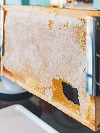 Dalya Resort Aqua & Spa Hotel