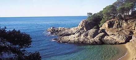 Apartamento Los Pinos 86