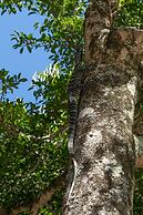 Tiona Palms Holiday Park