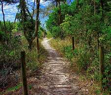 Tiona Palms Holiday Park