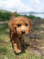 Tiona Palms Holiday Park