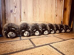 Chalet With Terrace in Sourbrodt