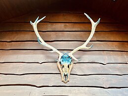 Chalet With Terrace in Sourbrodt