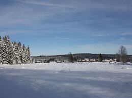 Chalet With Terrace in Sourbrodt