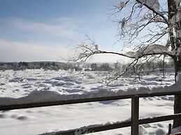 Chalet With Terrace in Sourbrodt