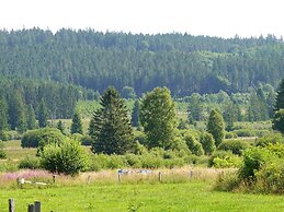 Chalet With Terrace in Sourbrodt