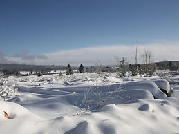 Chalet With Terrace in Sourbrodt