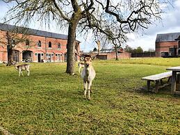 Luxurious Mansion With Indoor Pool and Sauna