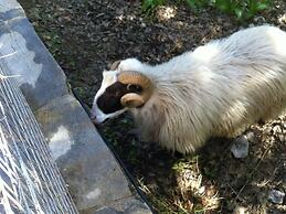 Sea View Villa in Prinès with Private Pool near Rethymnon