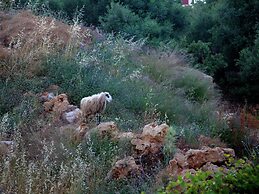 Sea View Villa in Prinès with Private Pool near Rethymnon