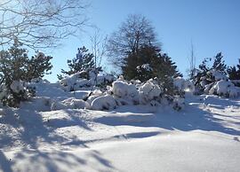 Picturesque Villa in Medebach near Ski Area