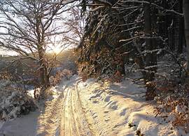 Picturesque Villa in Medebach near Ski Area