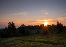 Picturesque Villa in Medebach near Ski Area