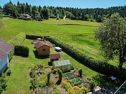 Spacious Apartment in Wehrhalden near Cross Country Skiing