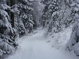 Spacious Apartment in Wehrhalden near Cross Country Skiing