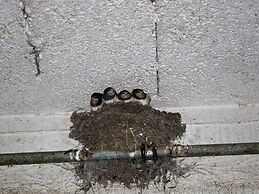 Spacious Apartment in Wehrhalden near Cross Country Skiing