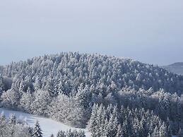 Spacious Apartment in Wehrhalden near Cross Country Skiing