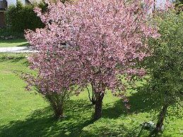 Spacious Apartment in Wehrhalden near Cross Country Skiing