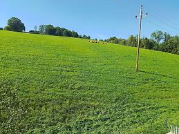 Voluminous Apartment near Ski Slopes in Maria Alm