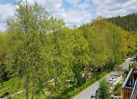 Bad Elster Apartment in Sohl